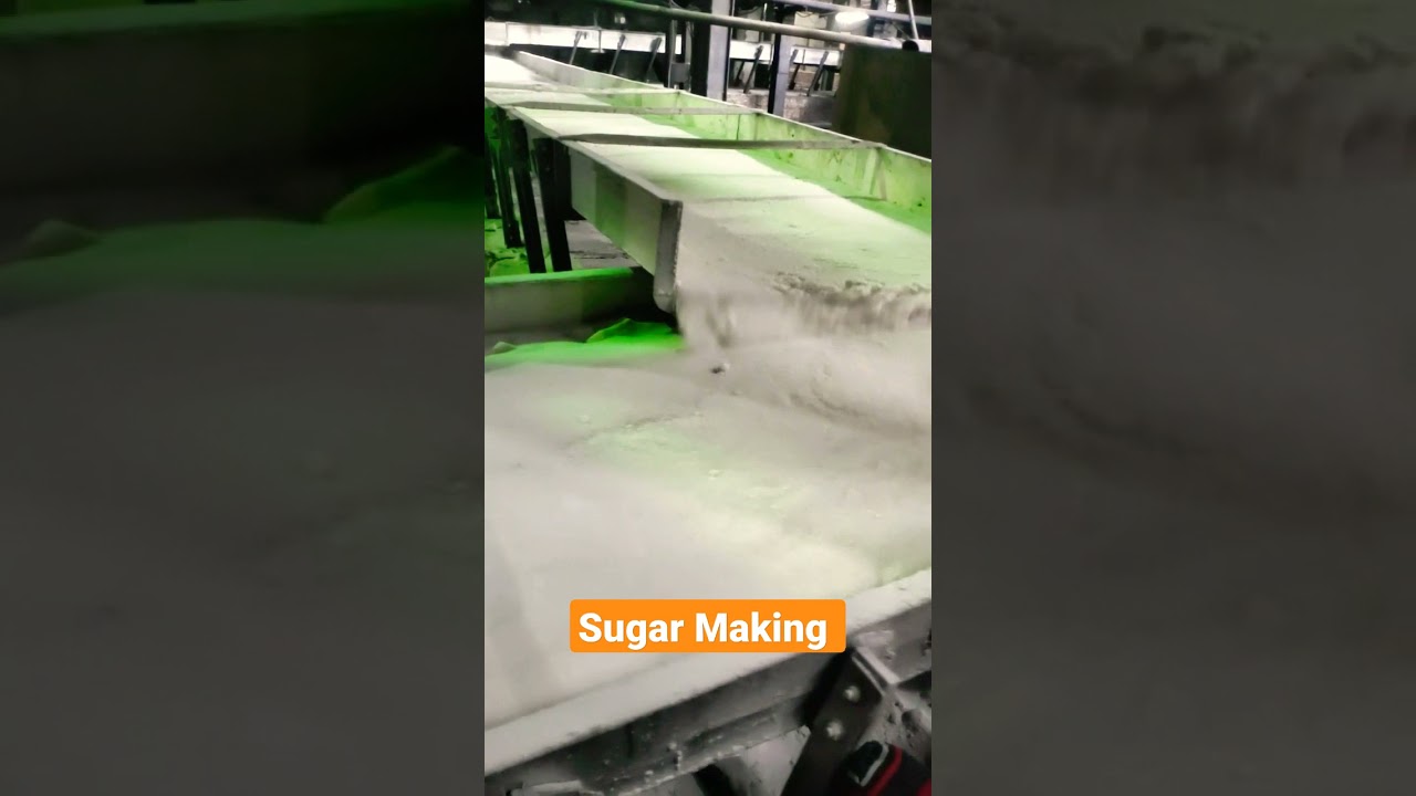 sugar make India Sugar Mills #short #training #viral #video