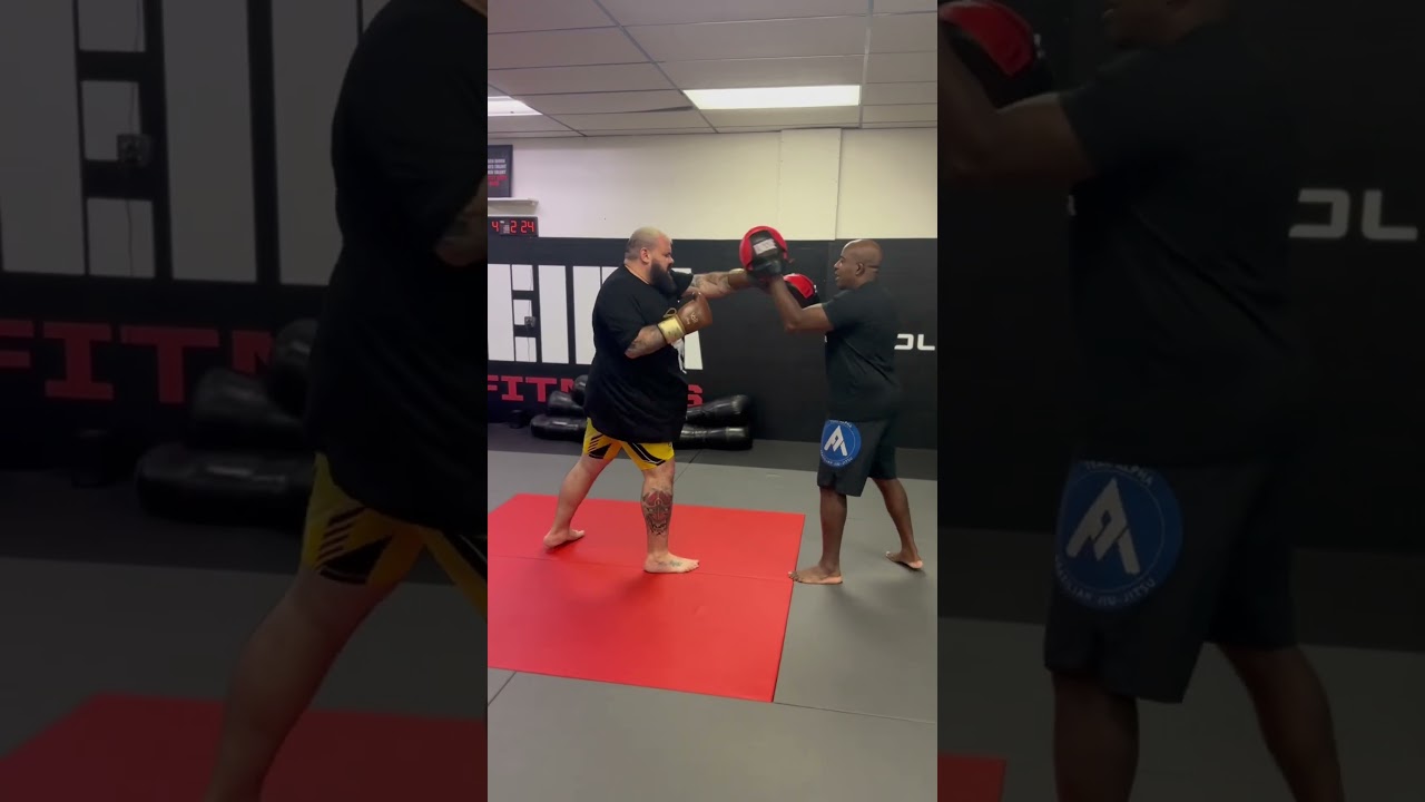 #ufc295
