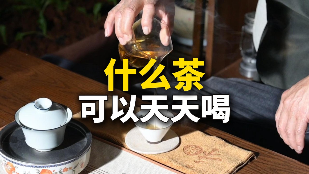 什么茶可以天天喝