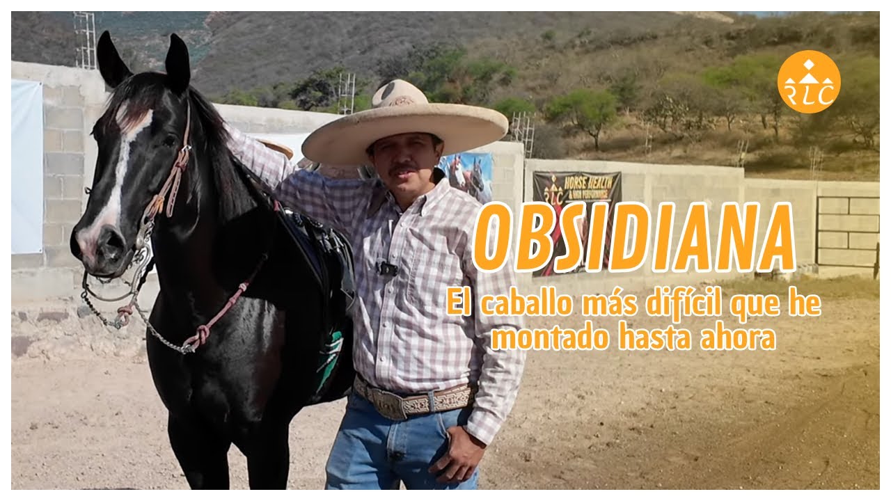 OBSIDIANA - El caballo más difícil que he montado hasta ahora