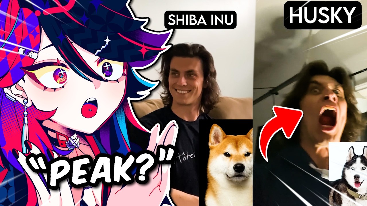 Every dog reaction is HILARIOUS AND UNHINGED BECAUSE ITS TRUE! (Jauncydev React)