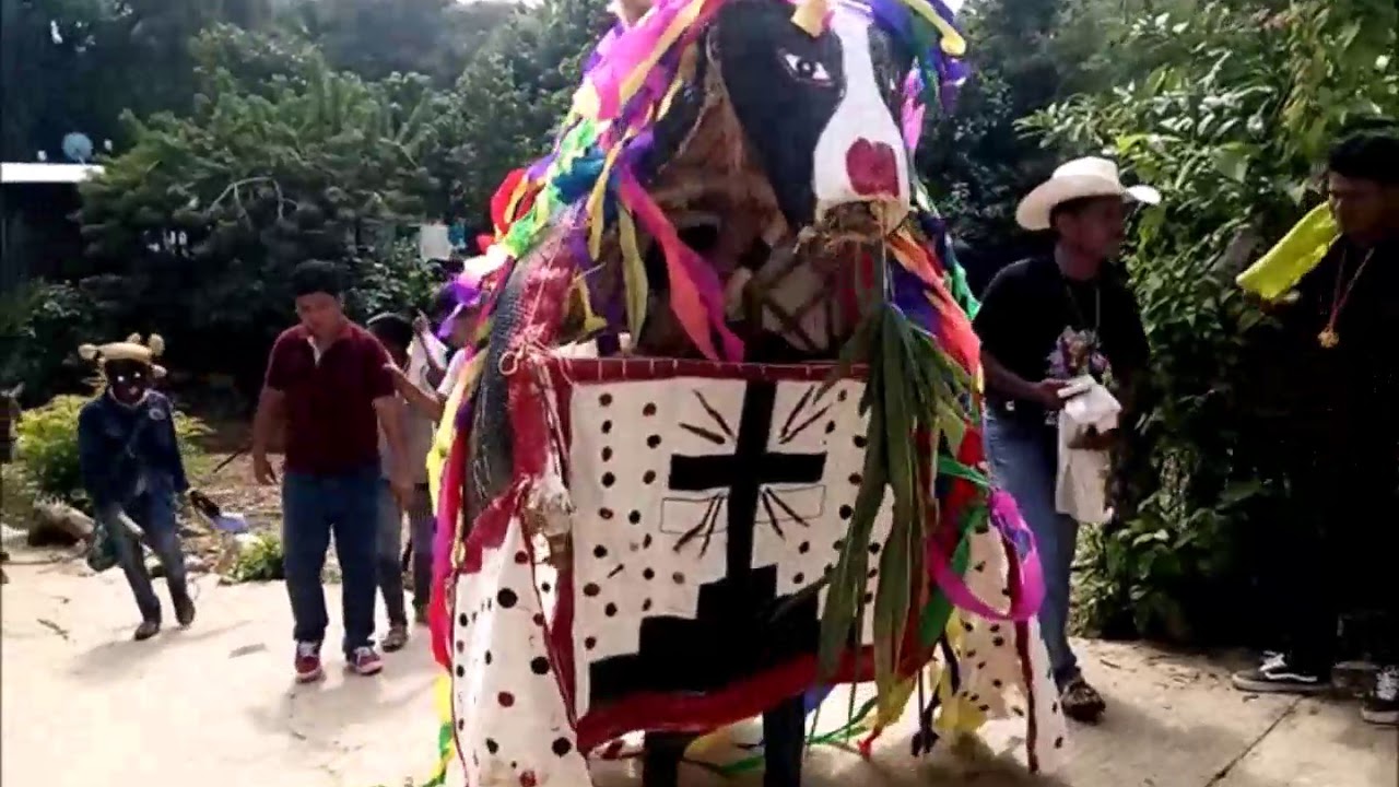 DANZA DEL TORO EN LA COMUNIDAD DE LA REFORMA MPIO. DE IGUALAPA, GRO
