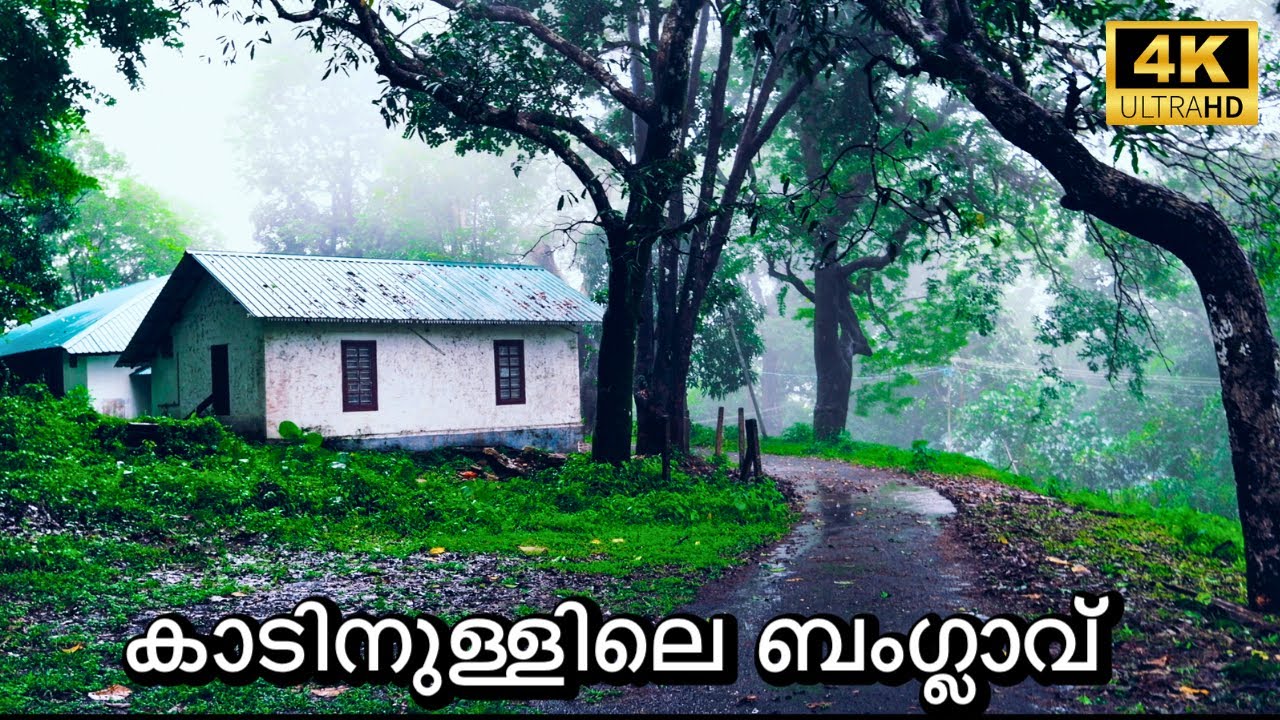Old British Forest Bungalow | Peringalkuthu KSEB IB | 4K UHD