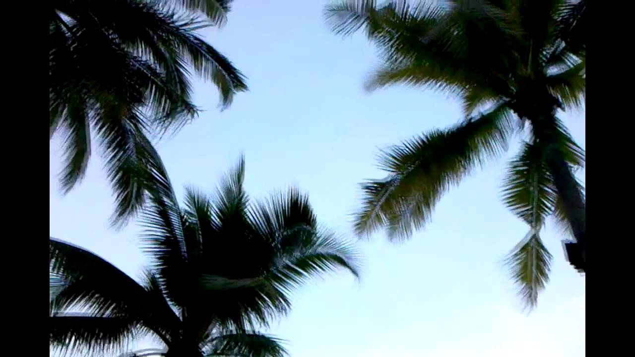 EL FAROL - Santana