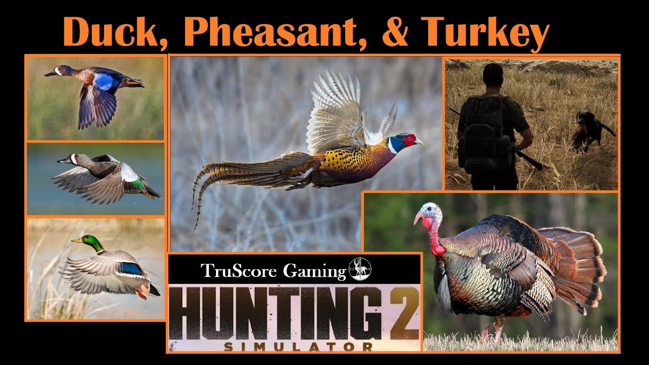 Duck Pheasant & Turkey HUNTING SIMULATOR 2 Trophy Hunts