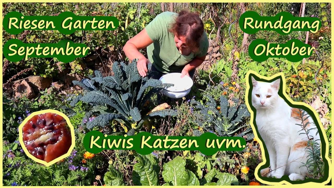 Gartenrundgang September Oktober Selbstversorgung Hühner Kaninchen uvm.