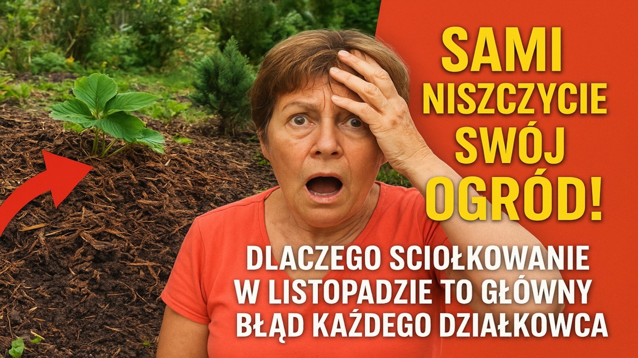 Sami niszczycie swój ogród! Dlaczego ściółkowanie w listopadzie to główny błąd każdego działkowca (