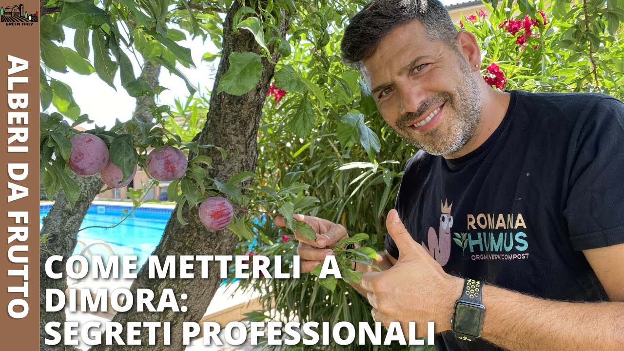 ALBERI DA FRUTTO: Come piantarli | Consigli Professionali !