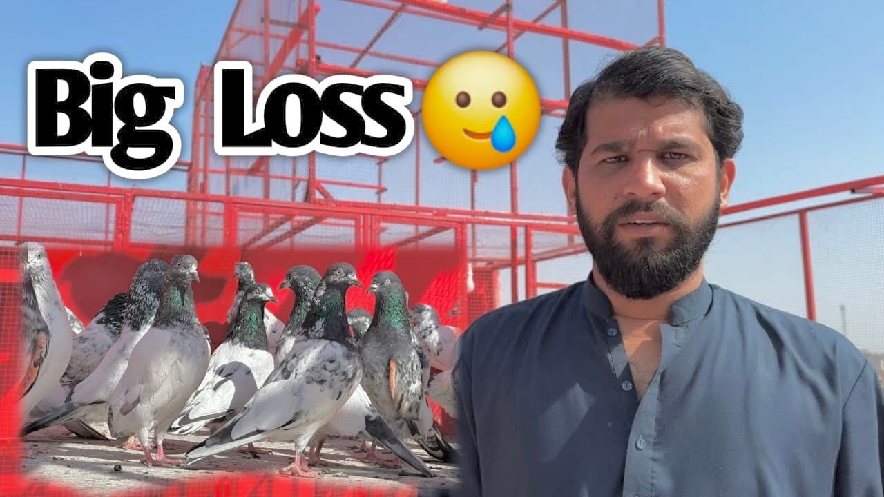Big  Loss 🥹New Bachy Ura Par Khol Kar 