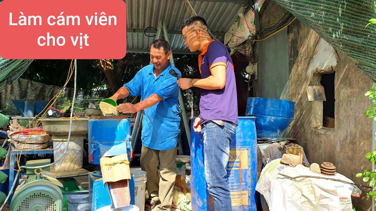 Hướng dẫn làm cám viên cho vịt