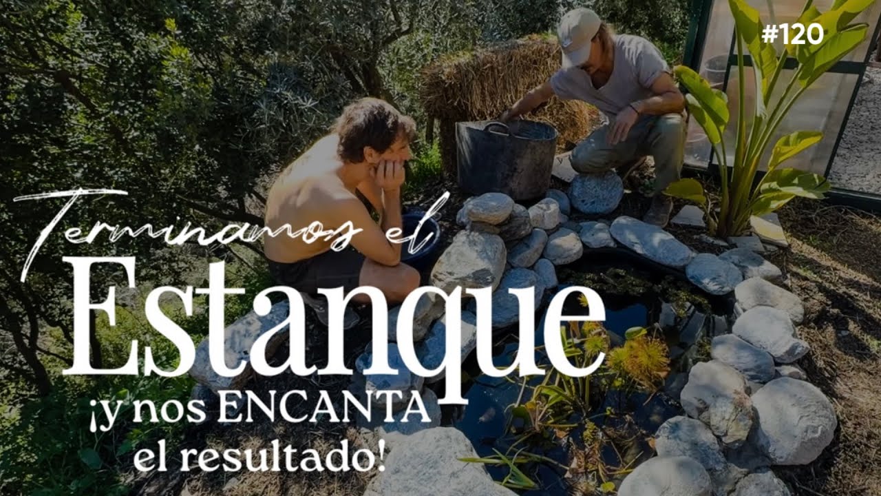 #120 |  🥬 Cosechas de invierno casi listas, primer ROMANESCO y orden de troncos en el BARRANCO 🪵