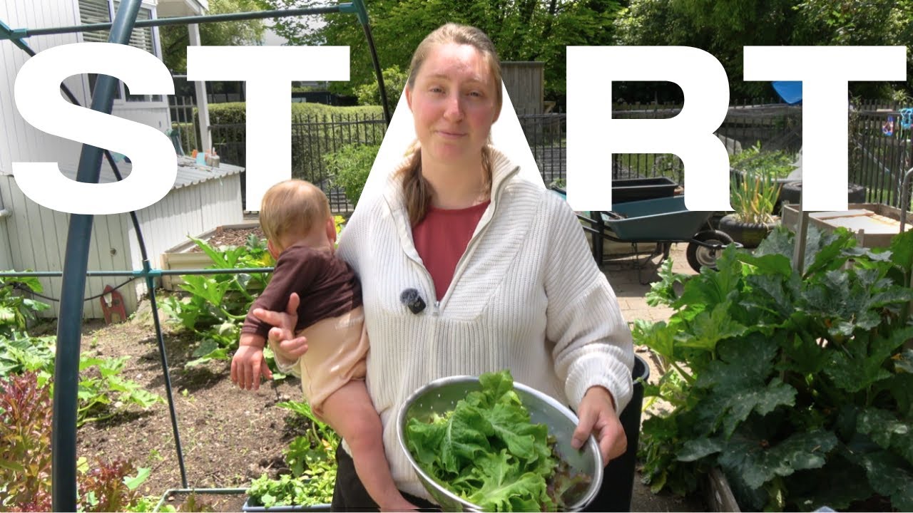How We are Homesteading in 2025 & How You Can Start Too