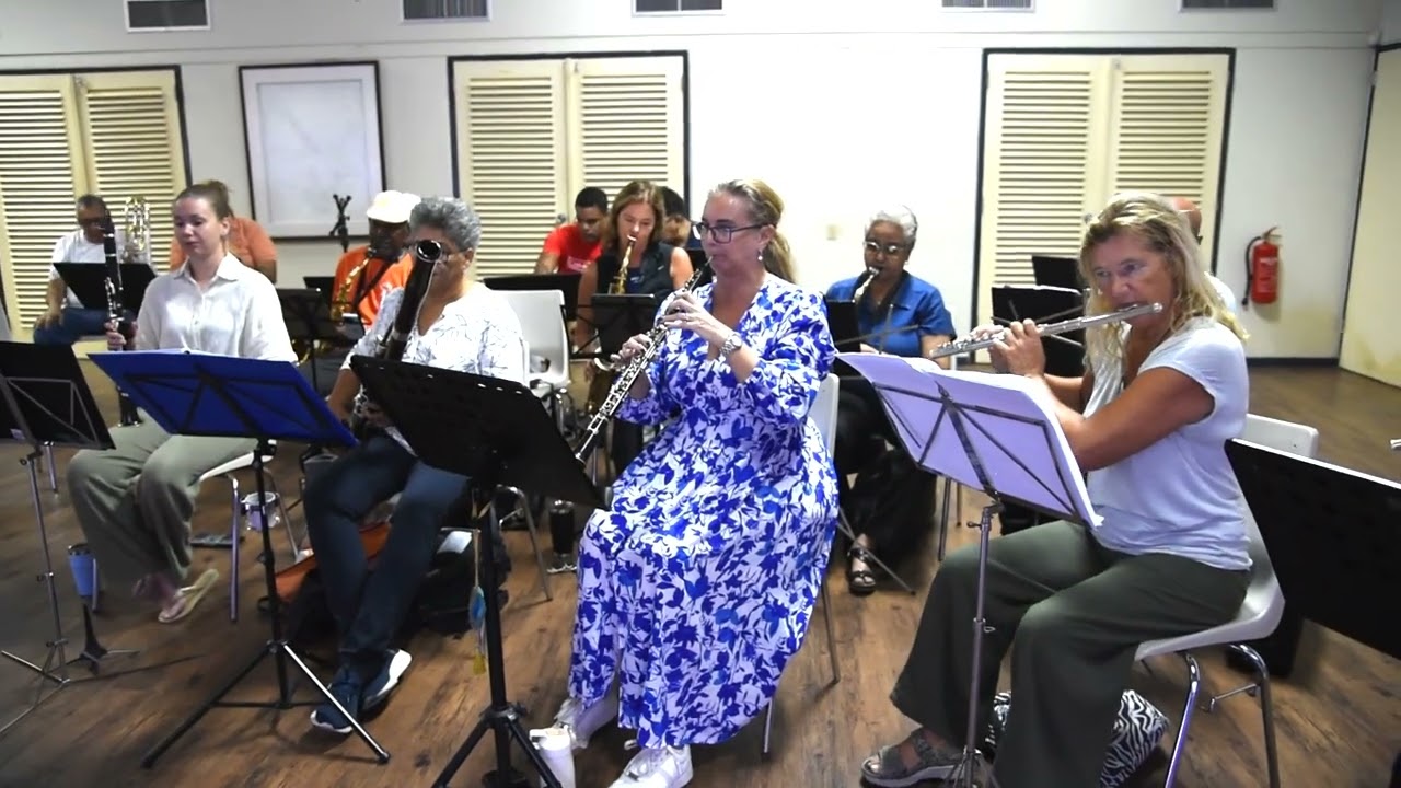 TEMA DE KEILY video  ENSAYO CCC