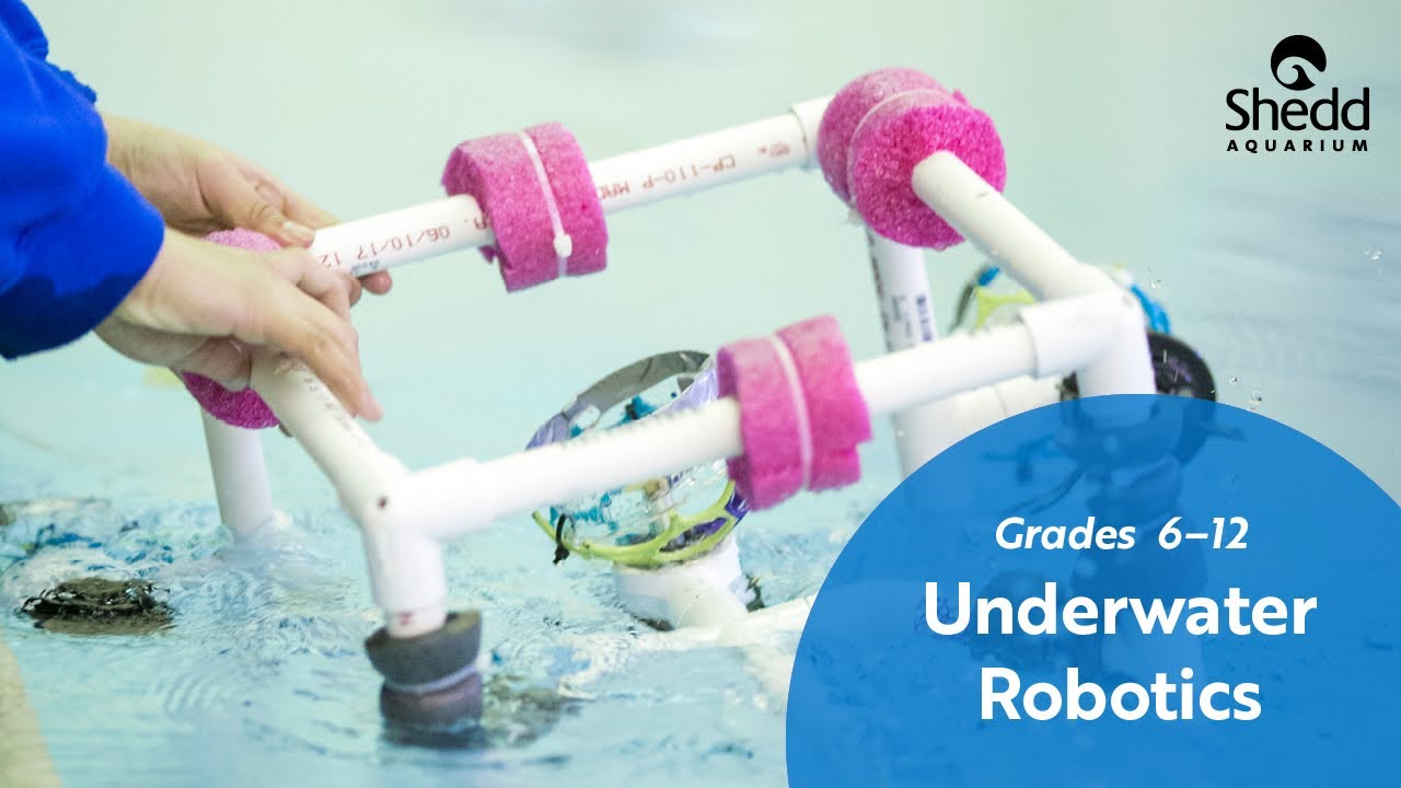 Underwater Robotics