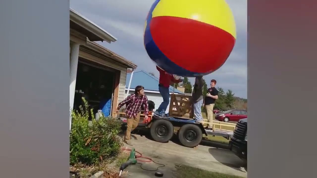 Funny Hoomans summer edition try not to laugh or die trying    Kidinn