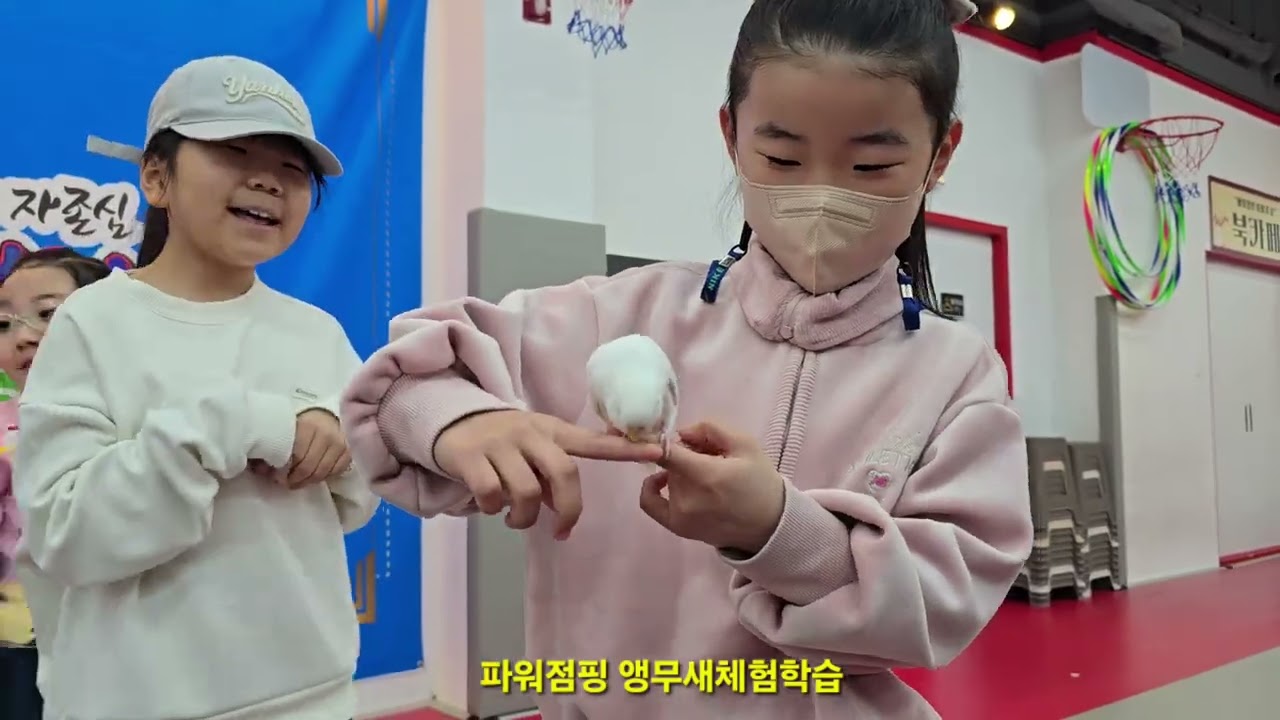 [선운지구 줄넘기]선운파워점핑 앵무새 체험학습 #파워점핑줄넘기선운점 #선운지구줄넘기 #선운초 #어룡초 #송정중앙초 #더선우유치원 #장성앵무새학교