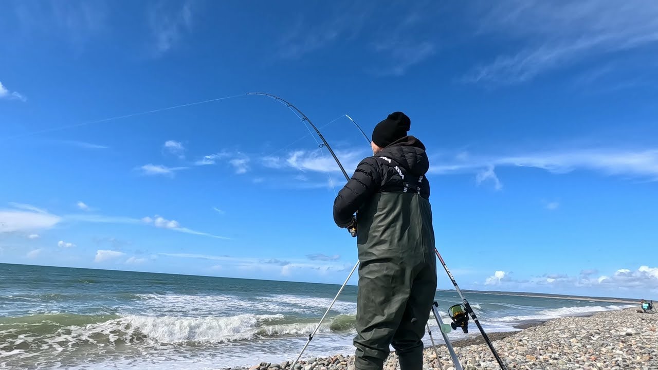 LLYN PENINSULA BIG BASS HUNT | I FOUND A BASS SHOAL | BASS A CAST | PART 1 | SEA FISHING UK