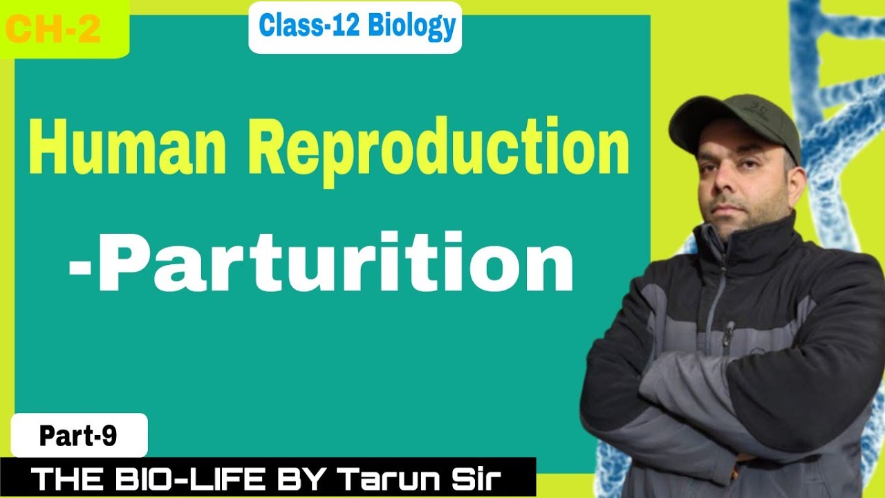 Parturition (Childbirth) 👶 | Human Reproduction | Class 12 Biology | NCERT Explained