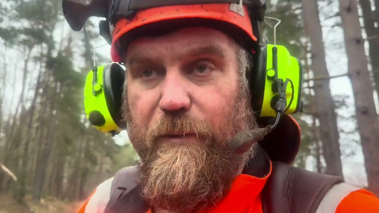 Komatsu skördare på klippkanten och farliga träd att fälla 