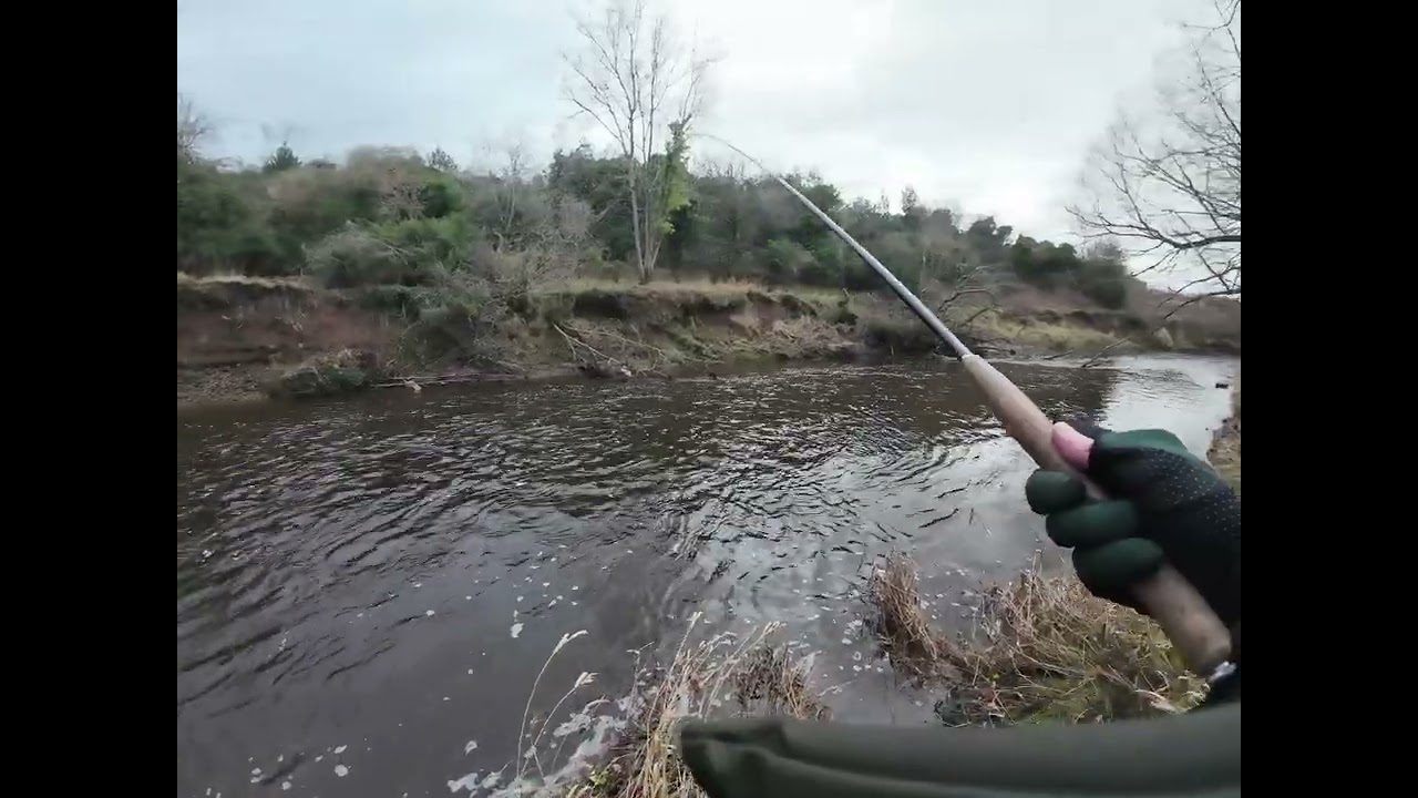 Trying for grayling on the River Esk, Musselburgh