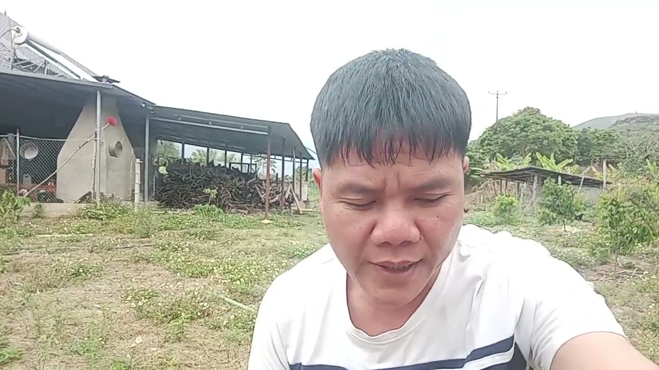 Gọi điện cho chị gái 
