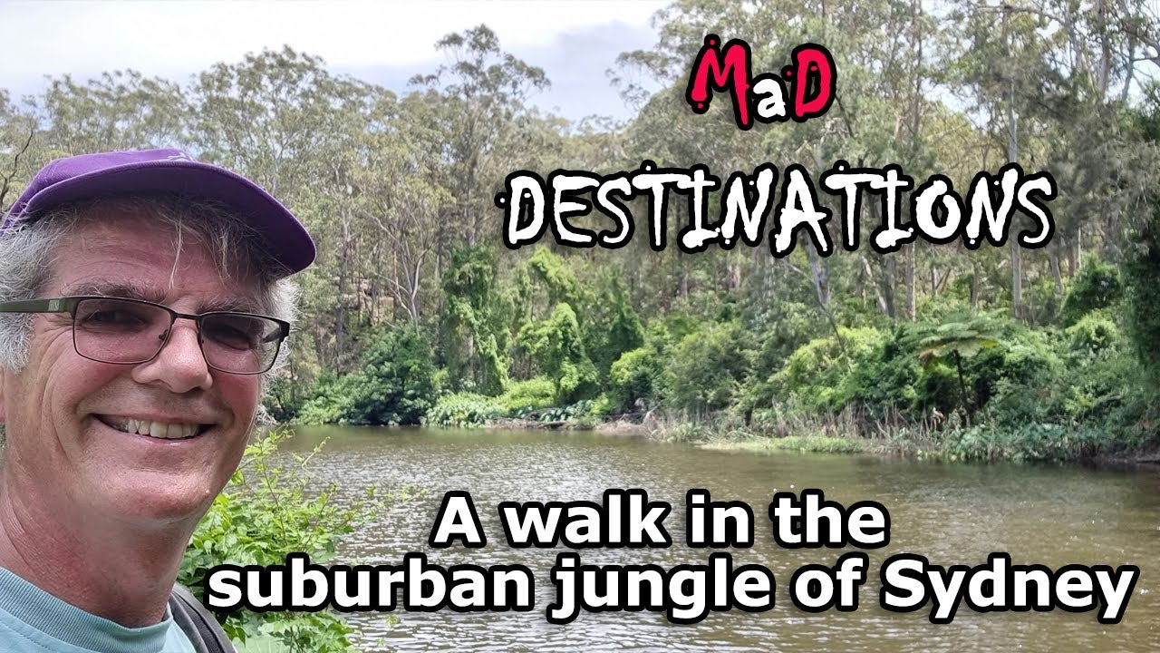 A walk in the suburban jungle of Sydney