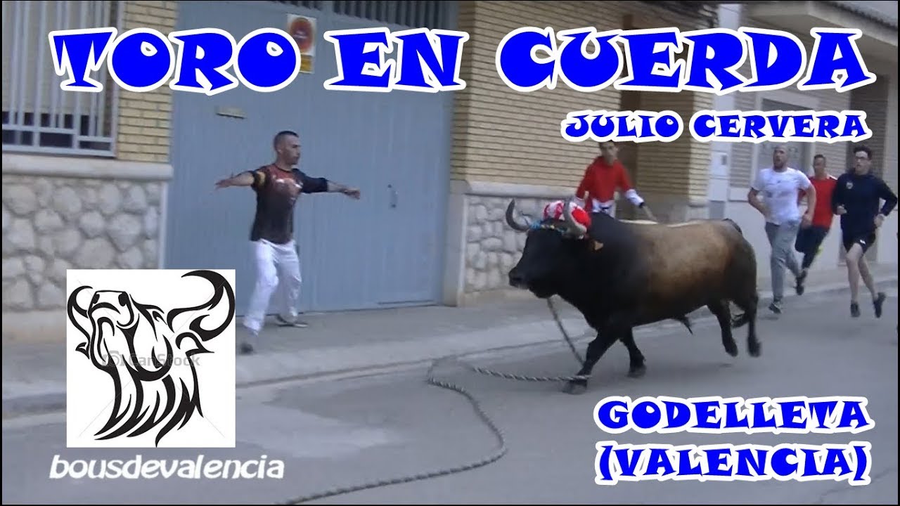 BOUS AL CARRER - GODELLETA (V) 2018 - TOROS EN CUERDA JULIO CERVERA 