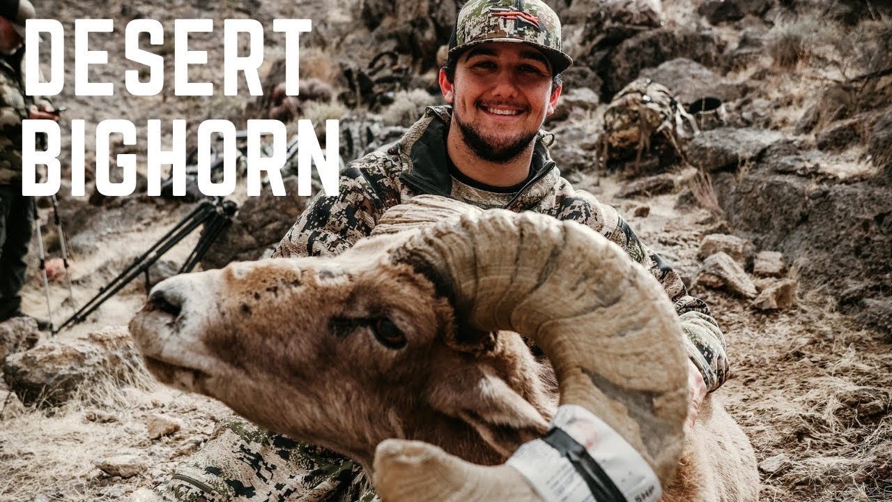California Desert Bighorn Sheep Hunt