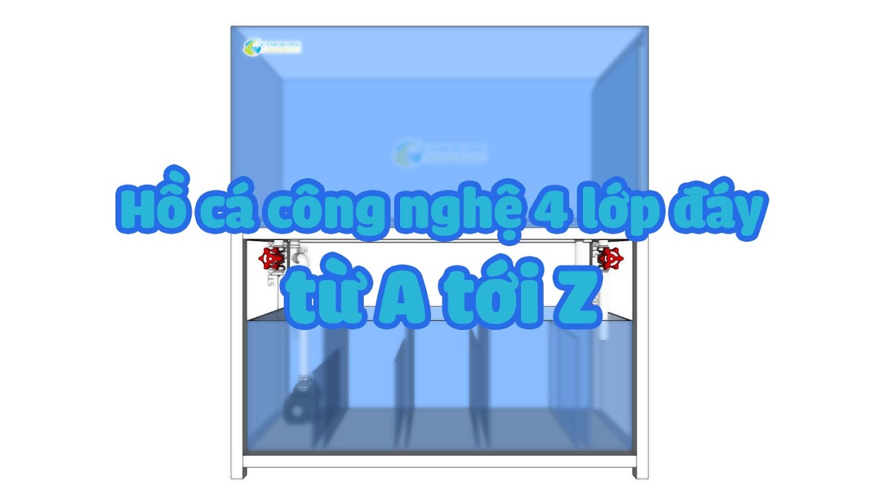 Hồ cá công nghệ 4 lớp đáy dấu ống từ A tới Z (Aquarium 4 layer bottom) | Hồ Cá Cảnh Dương