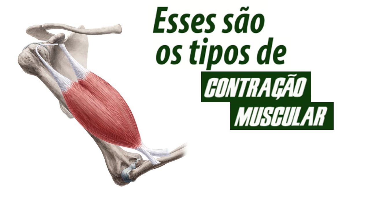 Esses são os tipos de contração muscular
