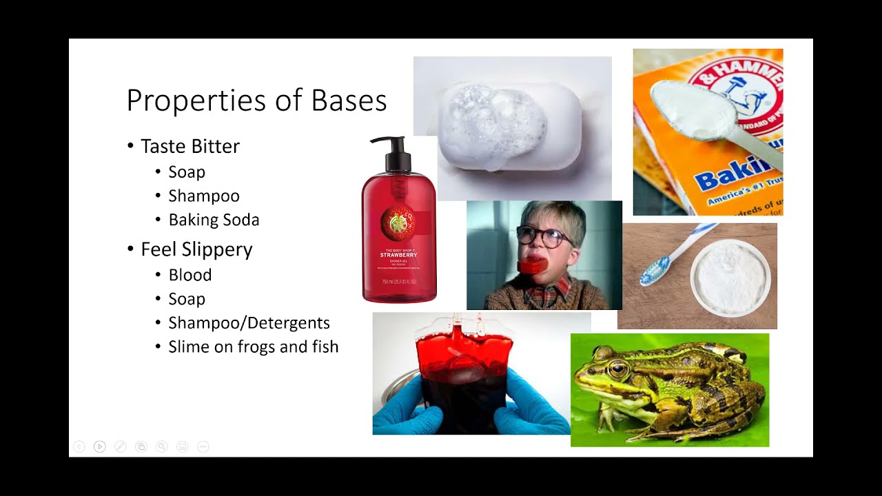 BC 15 1 Bases
