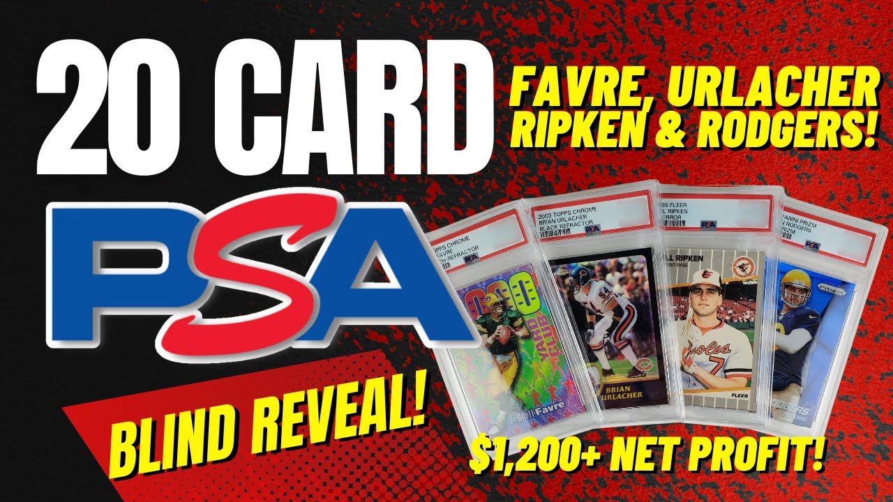 PSA Blind Reveal 20 Card Modern Submission Return