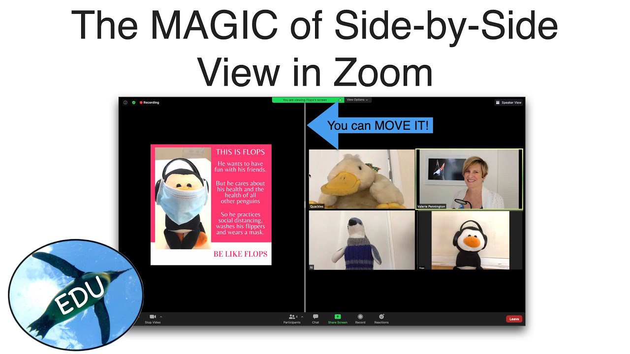 The MAGIC of Side-by-Side View in Zoom