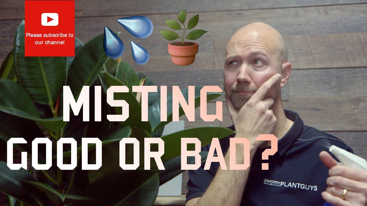 Опрыскивание — это хорошо или плохо 💦🪴?