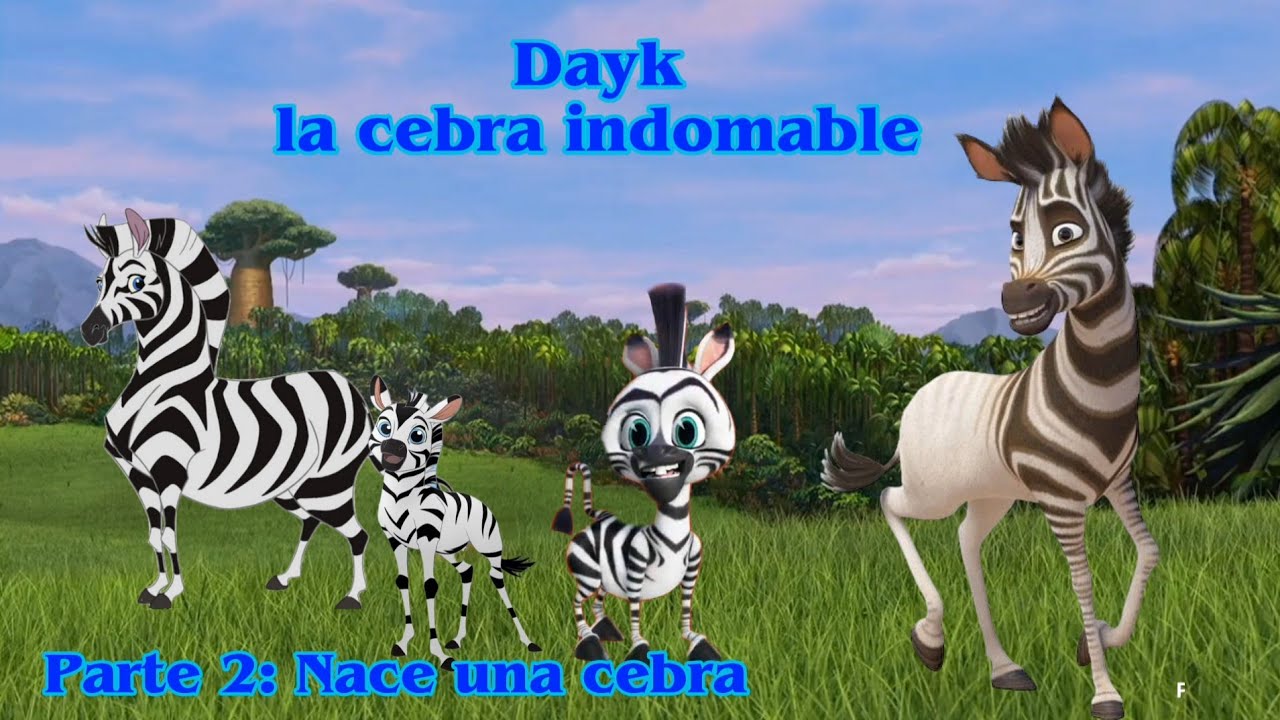 Dayk , la cebra indomable / parte 2: Nace una cebra