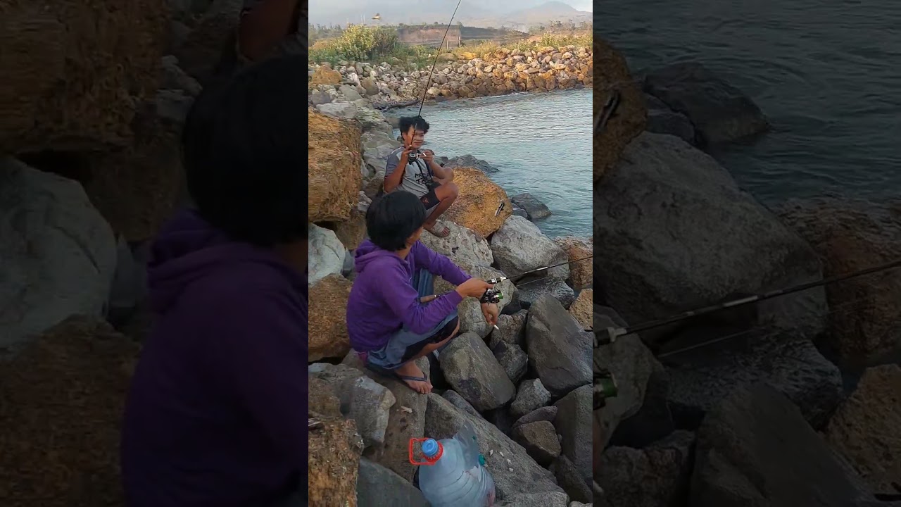 dapat ikan apa ini spot dermaga holly sluke