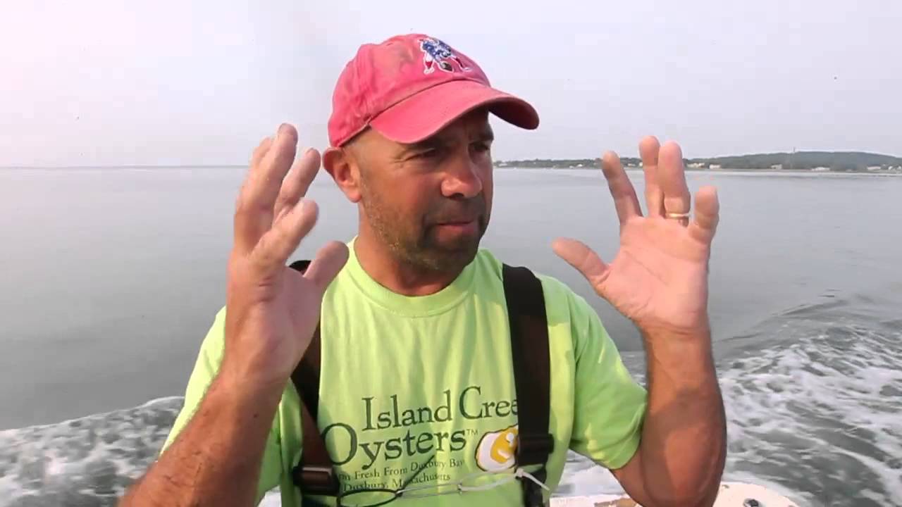 Local oyster farmers show how it's done