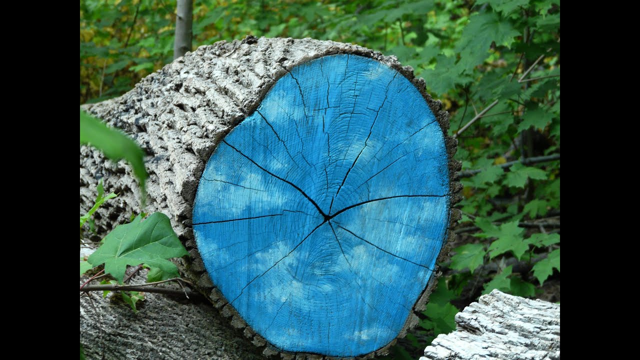 DIMENSIONAL EXPLORATION- Illuminating Worlds Unknown- Guided By LILIAN EDEN