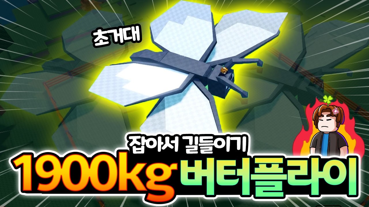✨1900kg 초거대 버터플라이 등장!! 그리고 동물 탑승하는 방법까지?! [잡아서 길들이기 : 로블록스]