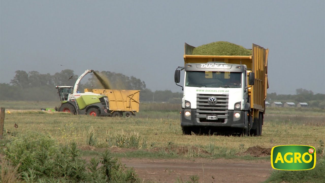 Duckas: Claves para la confección de silos para la producción lechera (#850 2019-11-16)