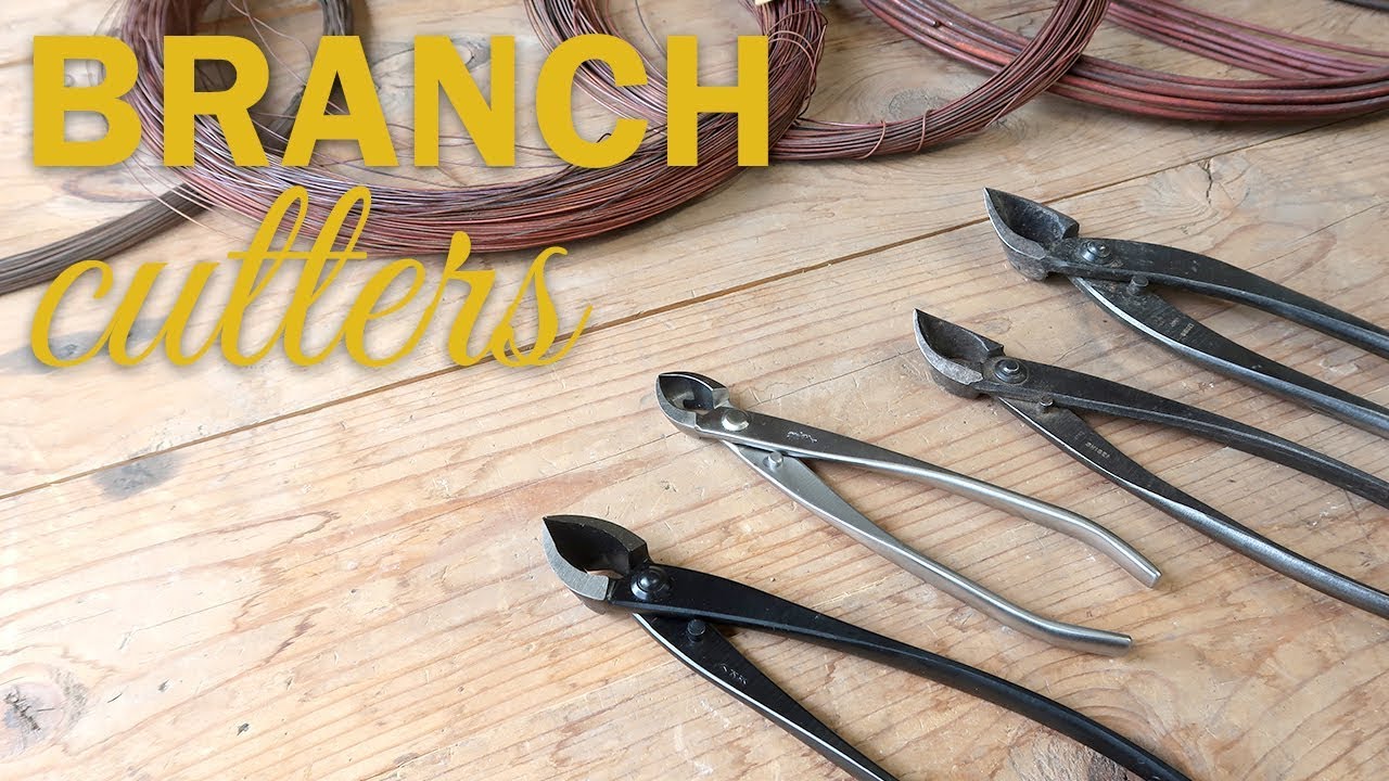 Bonsai Tools : Choosing a Branch Cutter