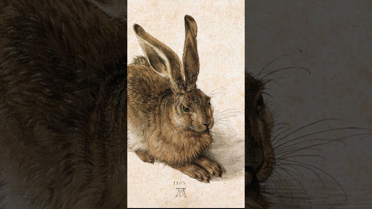 Exploring Albrecht D&uuml;rer's Masterpiece: The Young Hare.   #fineart #arteducation #albrechtdurer