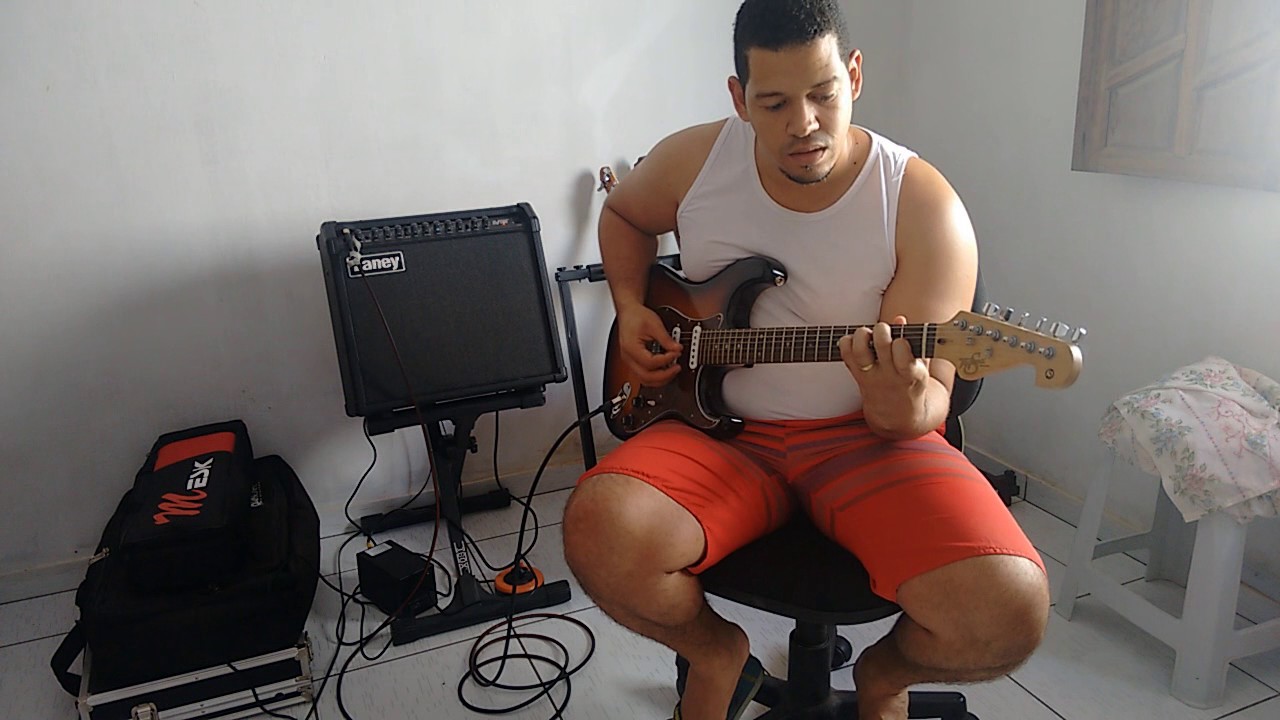 LANEY LV100