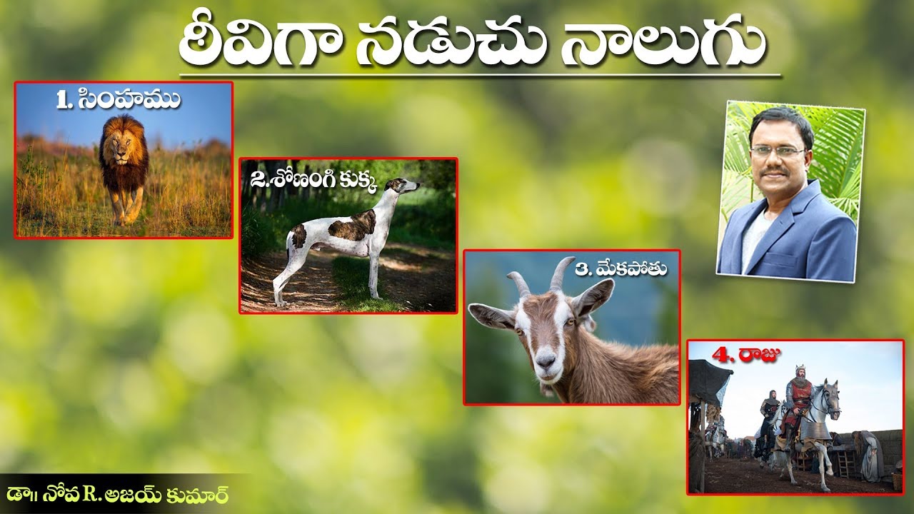 Four Which Are Stately In Walk - ఠీవిగా నడుచు నాలుగు - Dr. Noah