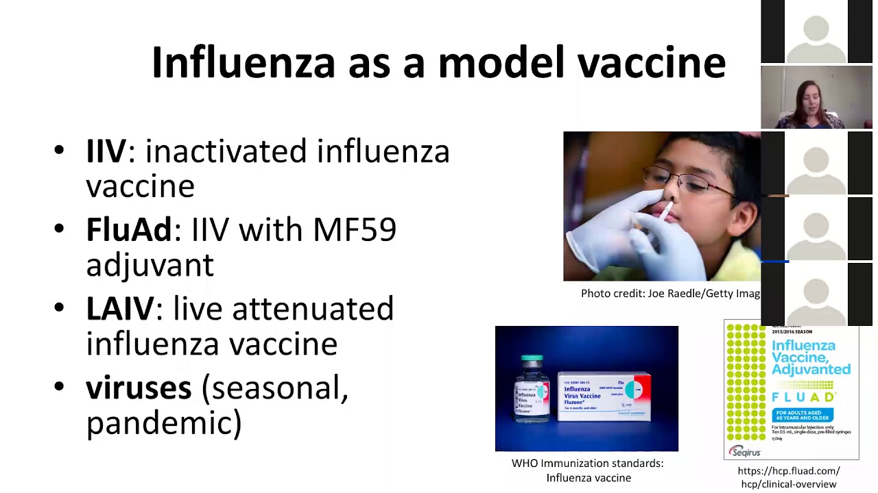 A tonsil organoid culture system for vaccine and adjuvant testing, Lisa Wagar, PhD