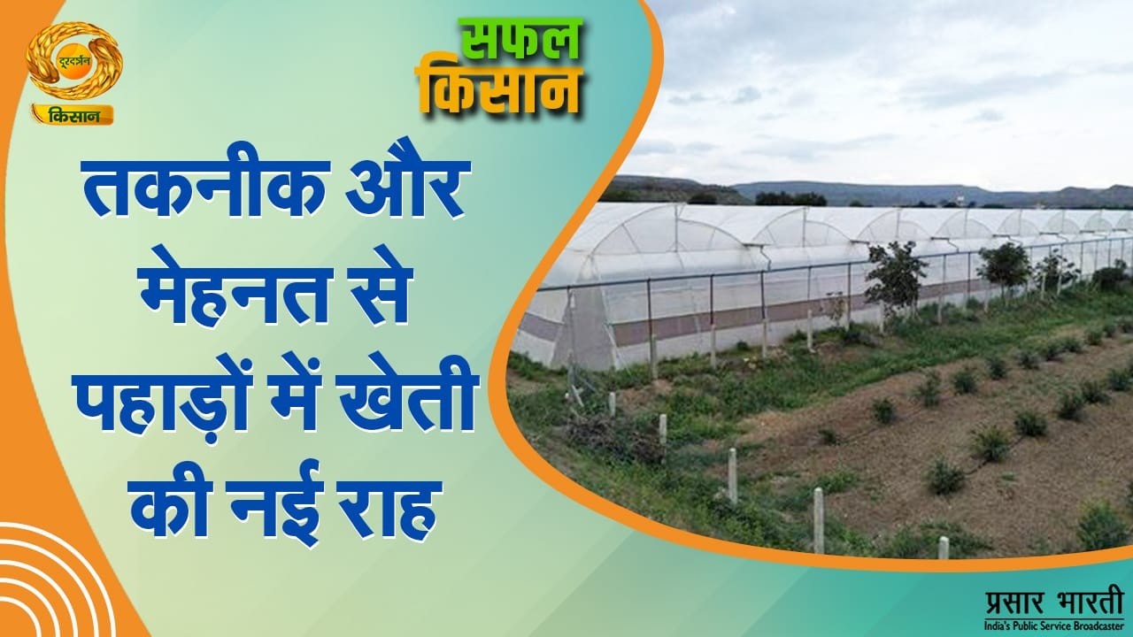 Safal Kisan | सफल किसान: तकनीक और मेहनत से पहाड़ों में खेती की नई राह | DD Kisan | March 06, 2026