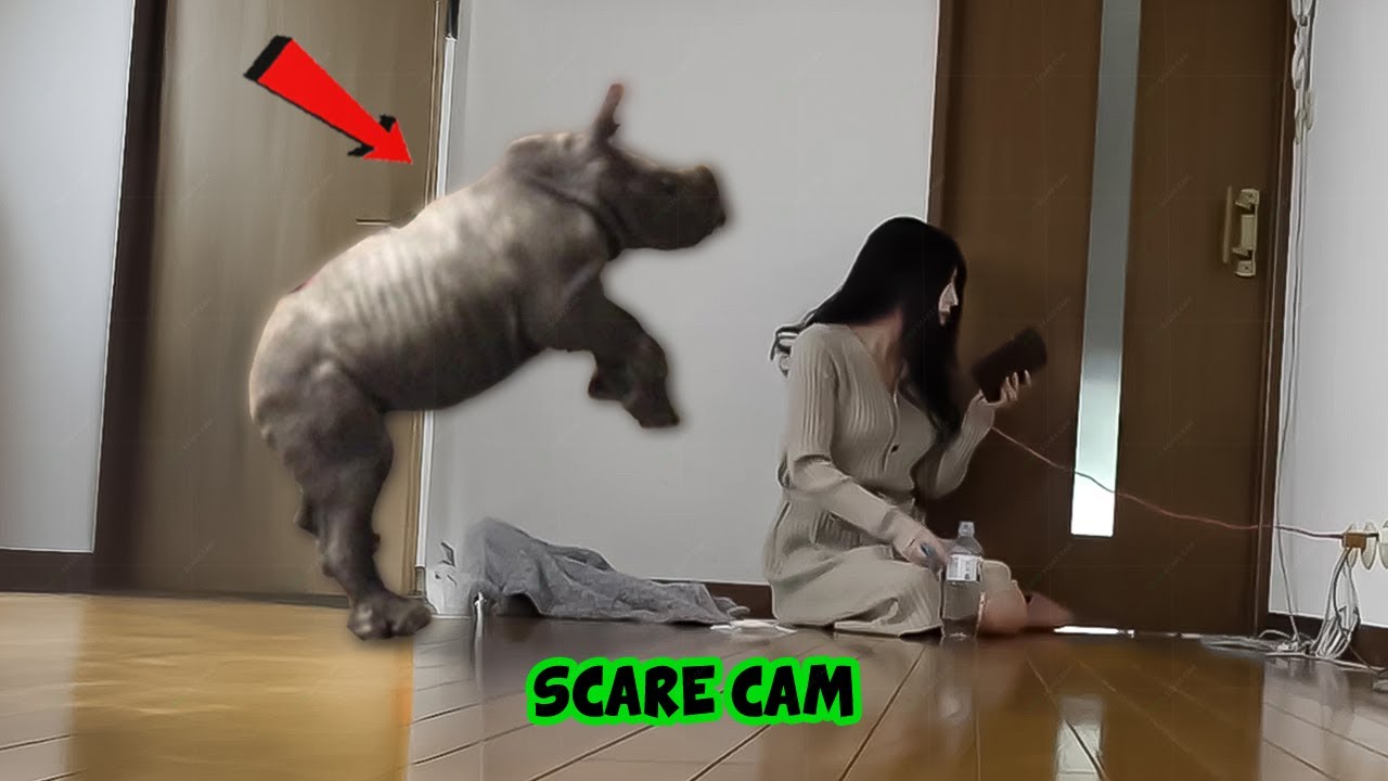 BEST SCARE CAM Priceless Reactions 2025😈#208 | Funny Scare Cam 🤣| Jump Scare 😂| CoCo Scare Cam |