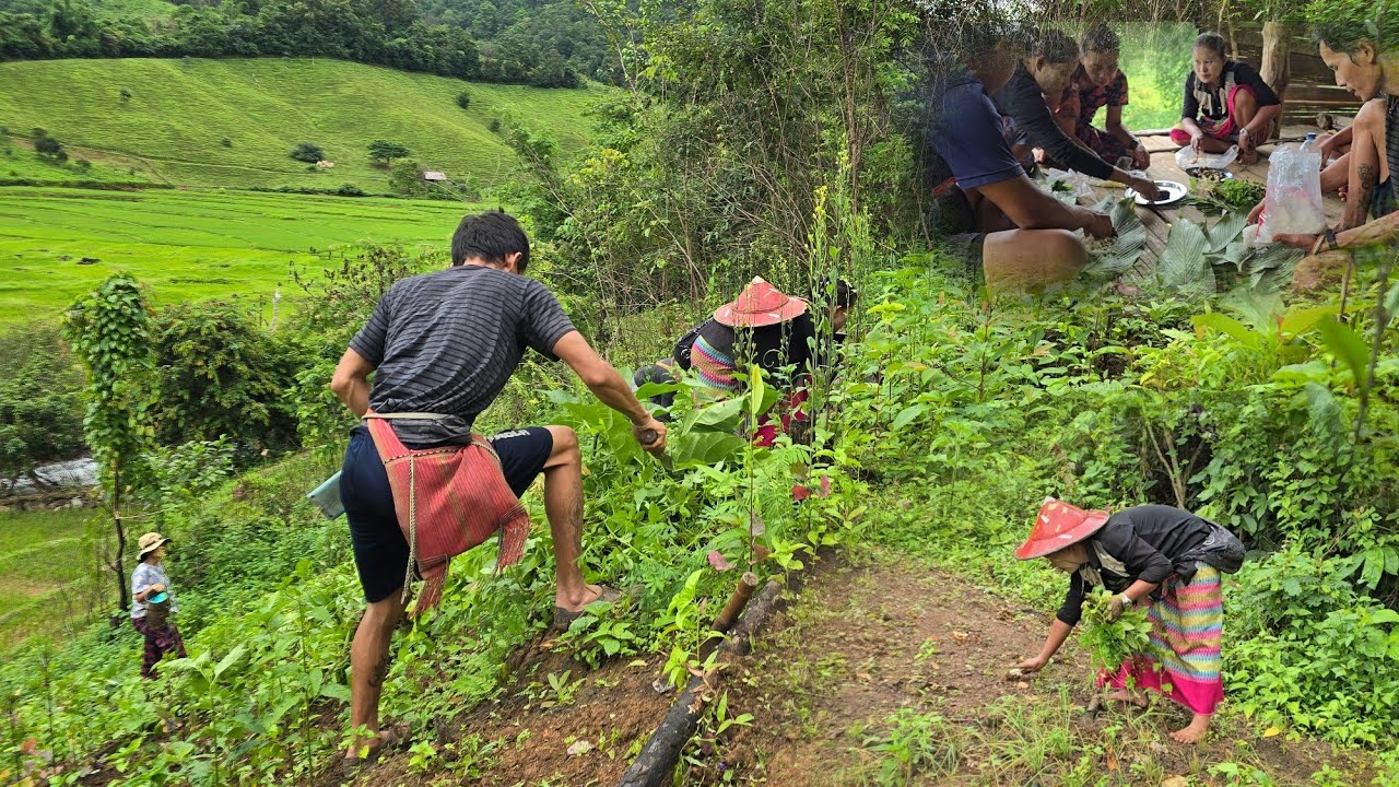 Karen Natural. ⛰️🍃  26/8/2025  