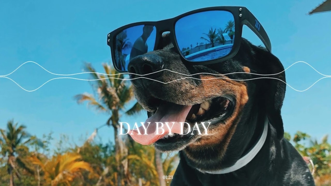 Day By Day - Electronic, Corporate, Tech House, Rave