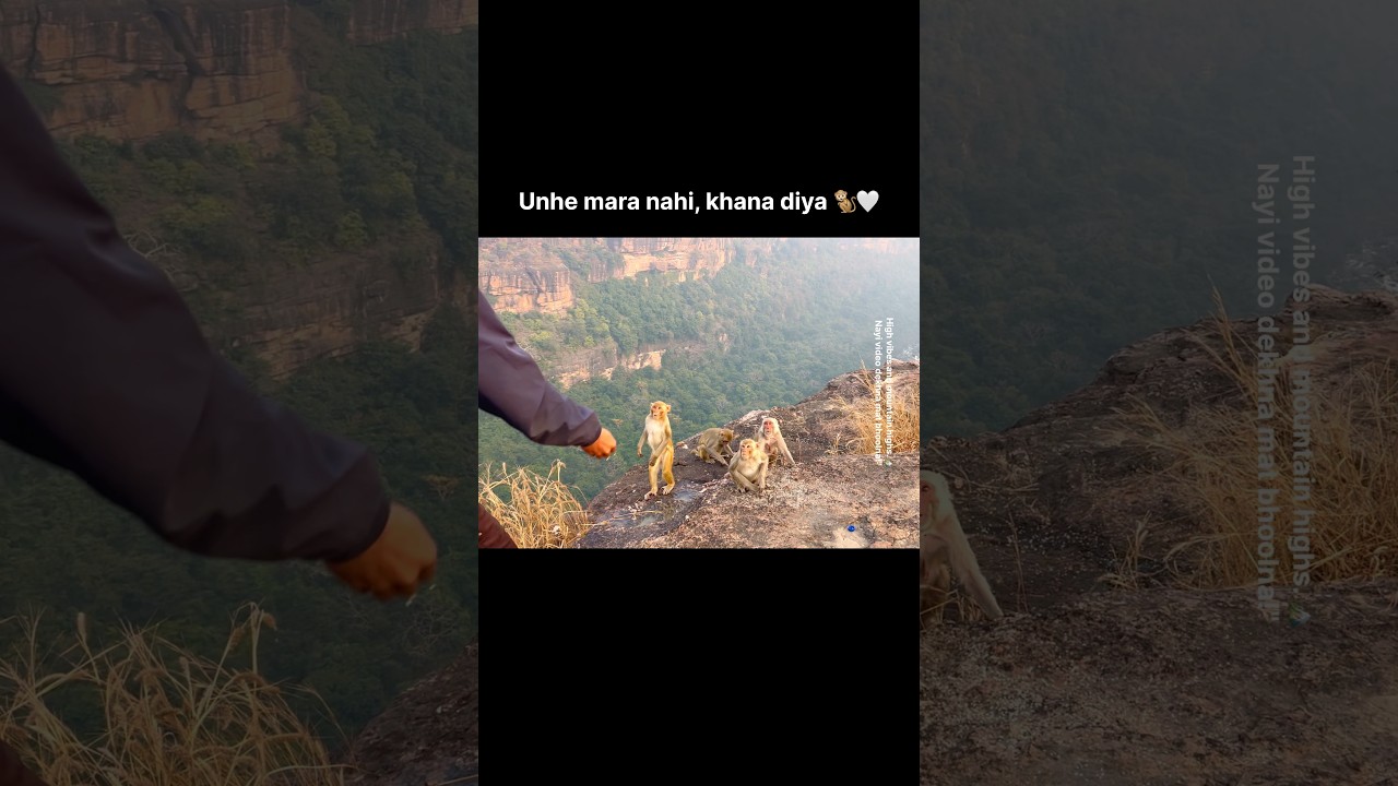 Ye bhi jeene ka haq rakhte hain 